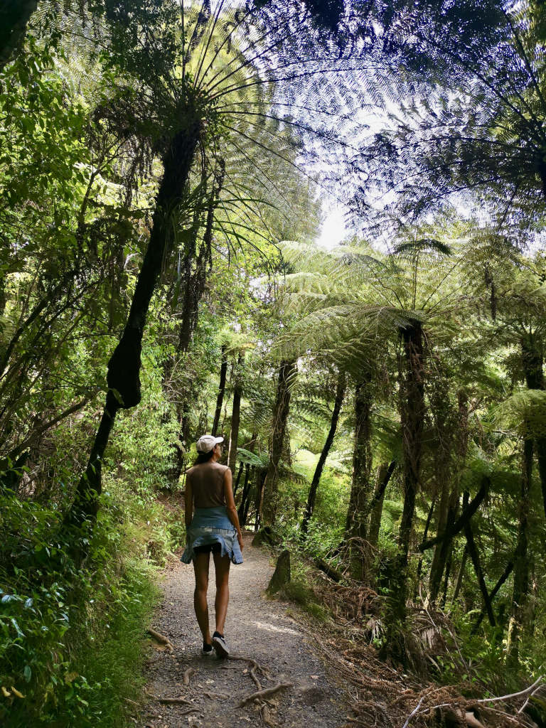 A woman in a black singlet and denim shorts walking along a path surrounded by fern trees at the Clevedon Scenic Reserve one of the best walks in Auckland