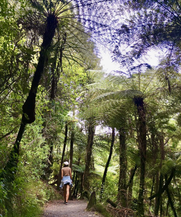 A woman walking along a path in the clevedon scenic reserve one of the best walks in auckland