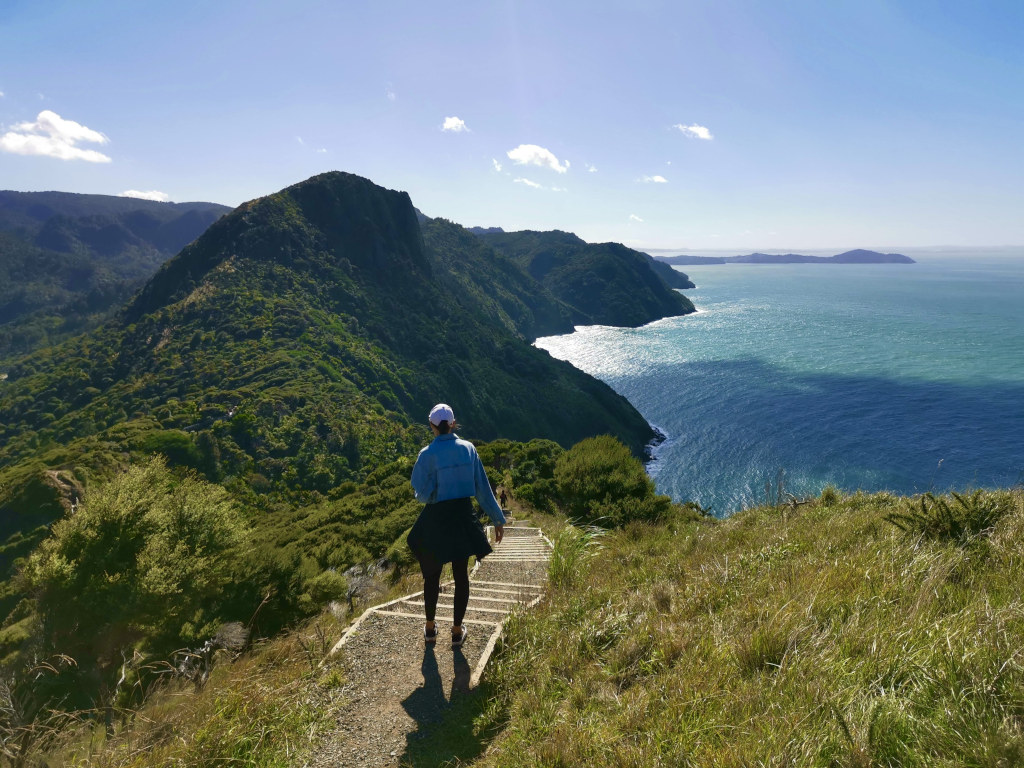 A woman standing at the top of a set of stairs overlooking the Manukau Harbour on the Omanawanui Track