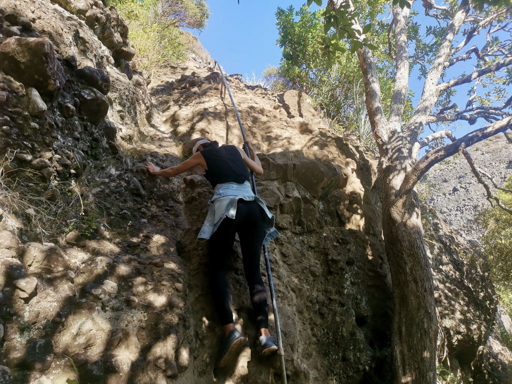 A woman using a metal pole attached to a cliff face to climb up during a hike