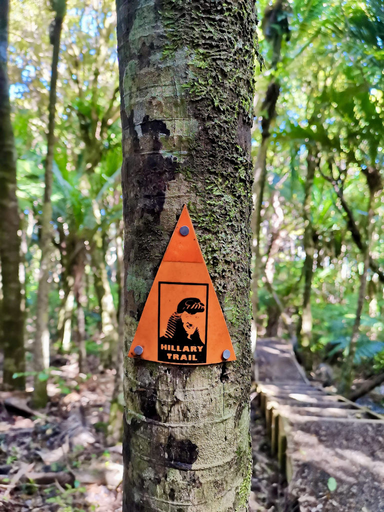 A tree stem with an orange Hillary Trail symbol on it