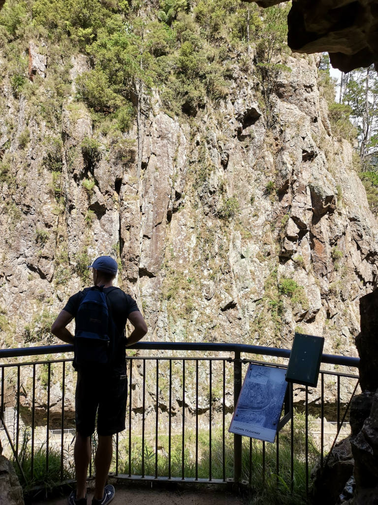 A man looking into the gorge