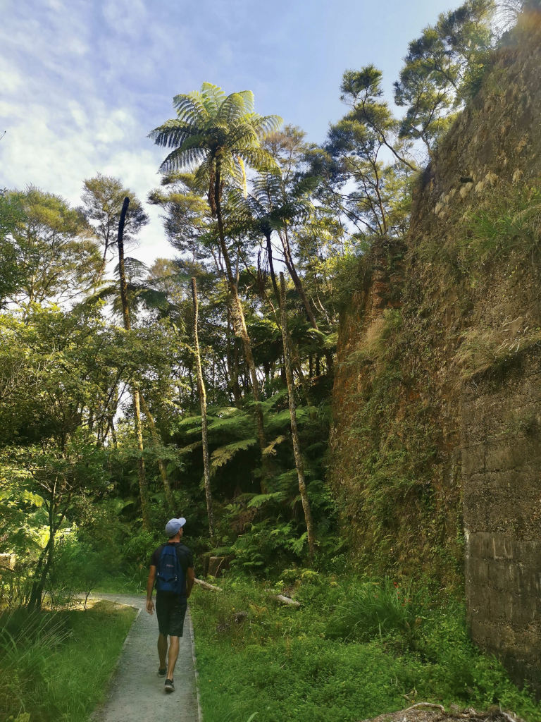 A man walking beside a wall overgrown with nature