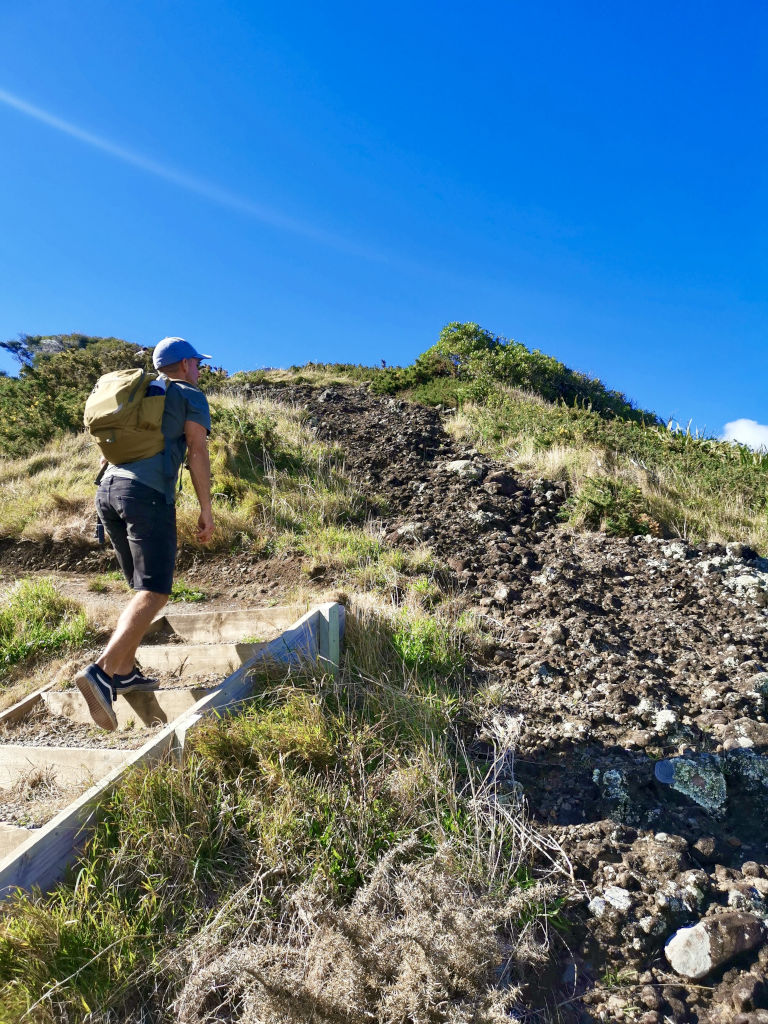 A man walking up some stairs next to an old volcanic lava flow on the Omanawanui Track near Auckland New Zealand