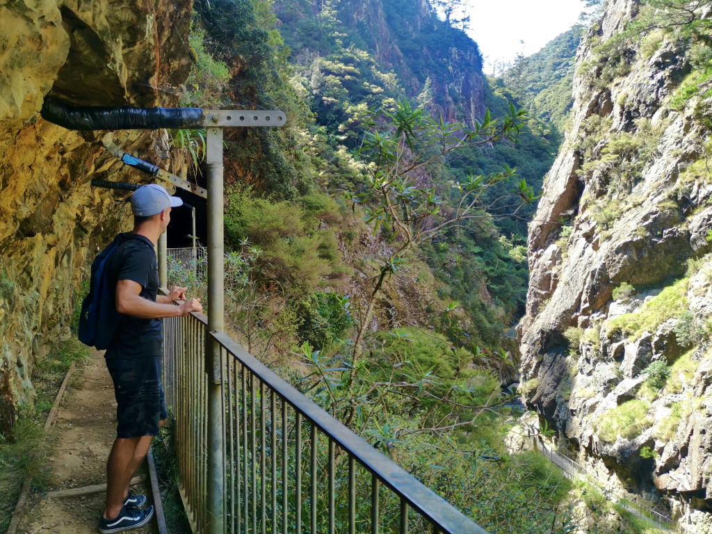 A man on a mining walkway looking into nature