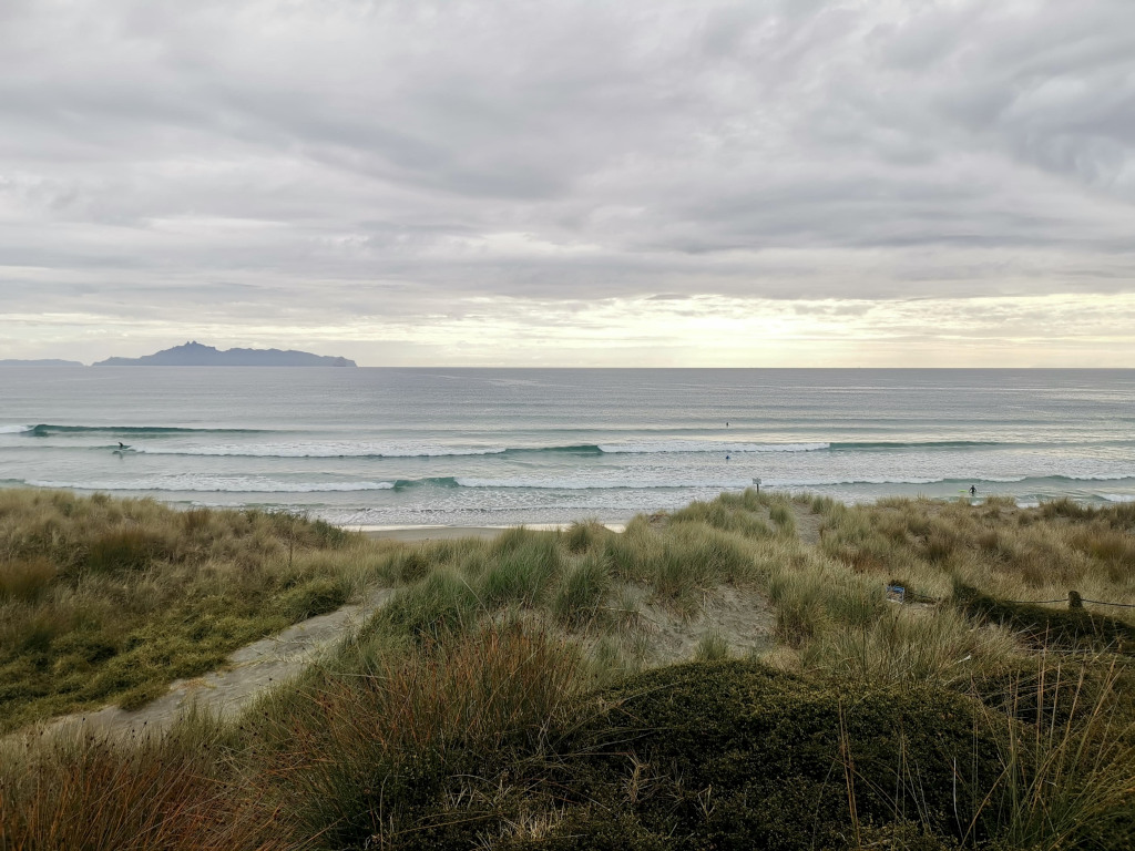 The sand dunes at mangawhai beach in new zealand with waves in the background and an island in the distance