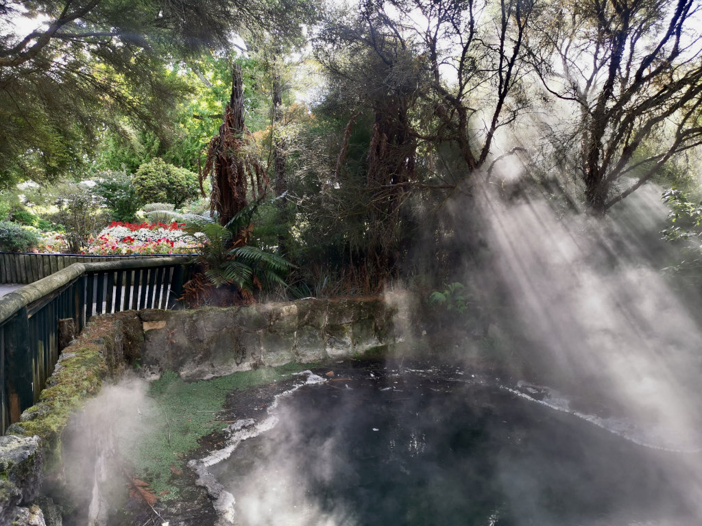 A hot spring in rotorua with light streaming through the steam created by the pool in the background