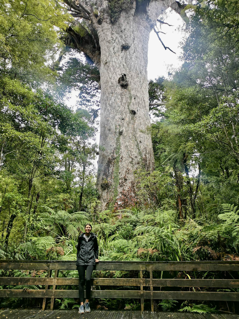 A woman standing in front of tane mahuta the largest kauri tree in new zealand