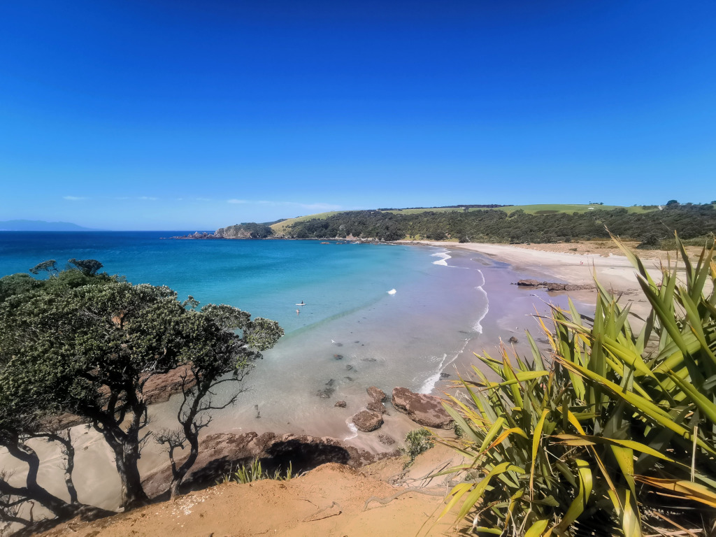 The beach at tawharanui regional park a good place to stop on a northland road trip