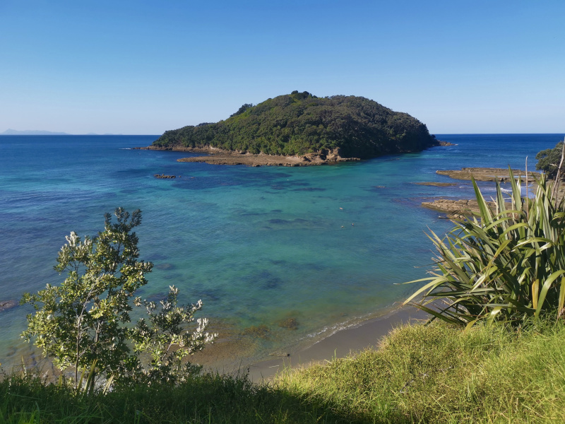 The clear blue waters around goat island a marine reserve in New Zealand