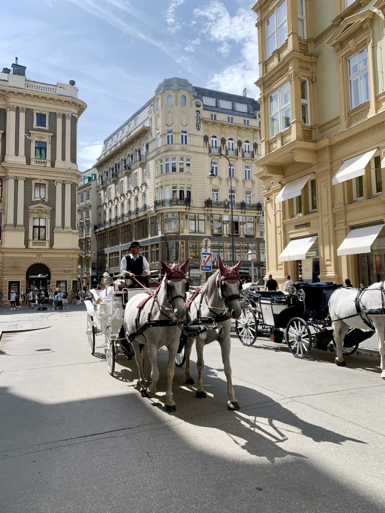 A horse drawn cart going down the street in the middle of downtown vienna austria