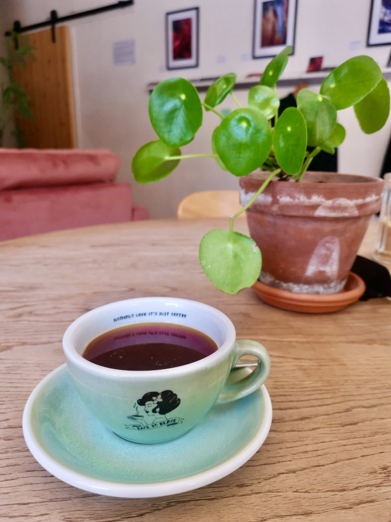 A cup of coffee sitting on a table with a potplant in the background on the table