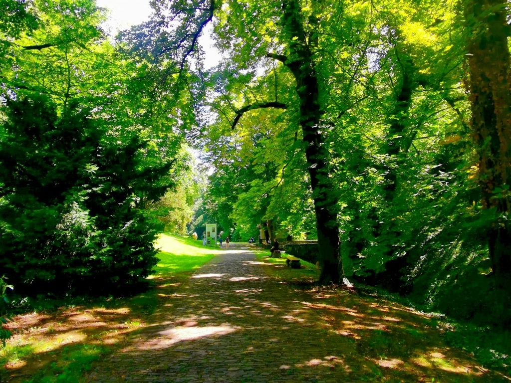 A cobbleston path through Deer Moat Park close to Prague Castle with leafy green trees.