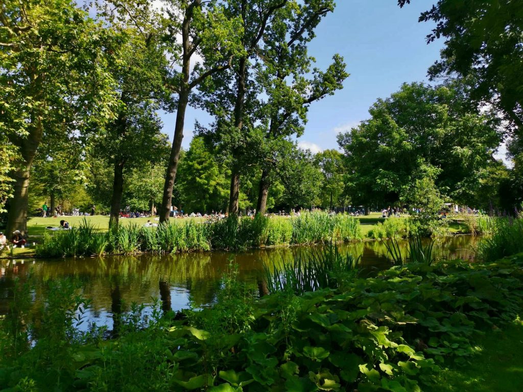 A pond in Vondel Park in Amsterdam